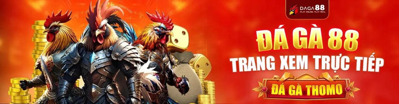 Hình ảnh chính của 98win01 code FAQ